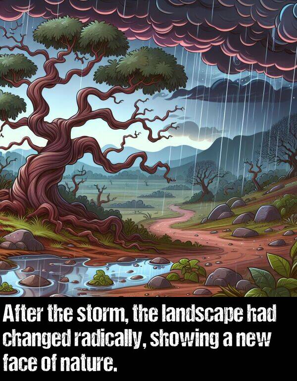 landscape: After the storm, the landscape had changed radically, showing a new face of nature.