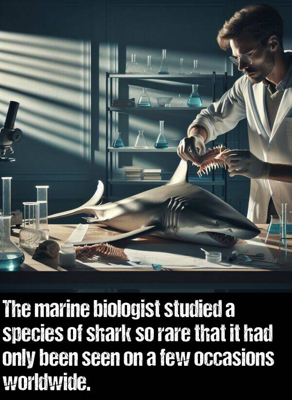 biologist: The marine biologist studied a species of shark so rare that it had only been seen on a few occasions worldwide.