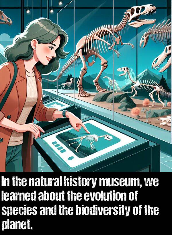 history: In the natural history museum, we learned about the evolution of species and the biodiversity of the planet.