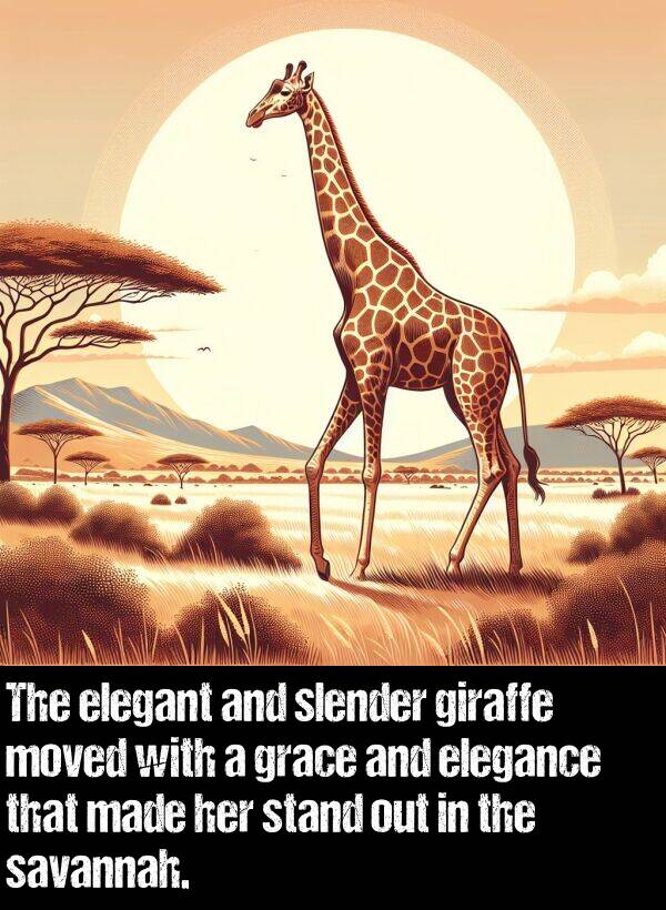 grace: The elegant and slender giraffe moved with a grace and elegance that made her stand out in the savannah.