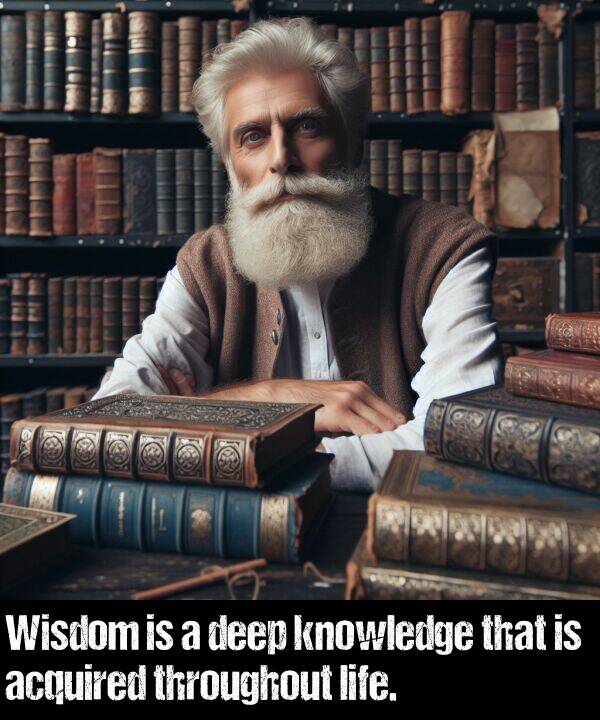 knowledge: Wisdom is a deep knowledge that is acquired throughout life.