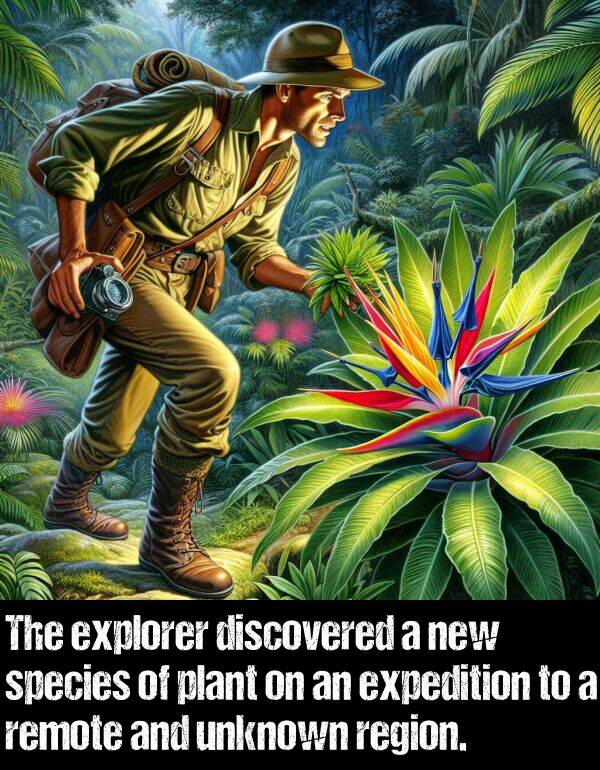 new: The explorer discovered a new species of plant on an expedition to a remote and unknown region.