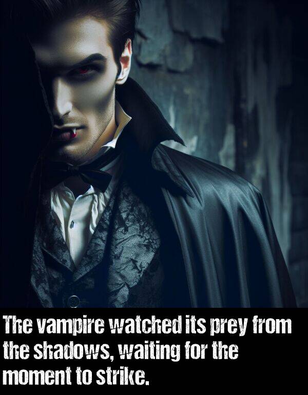 strike: The vampire watched its prey from the shadows, waiting for the moment to strike.