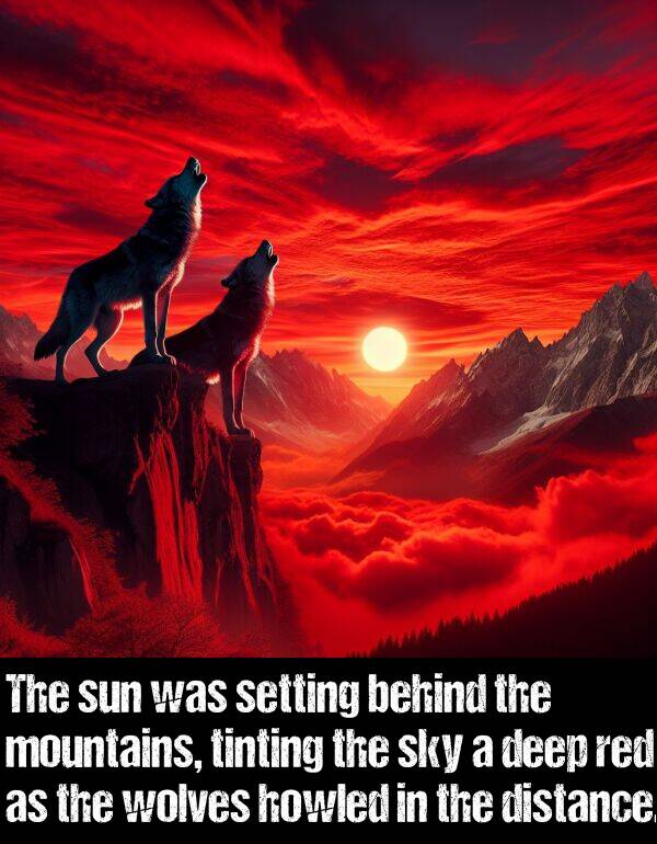 distance: The sun was setting behind the mountains, tinting the sky a deep red as the wolves howled in the distance.