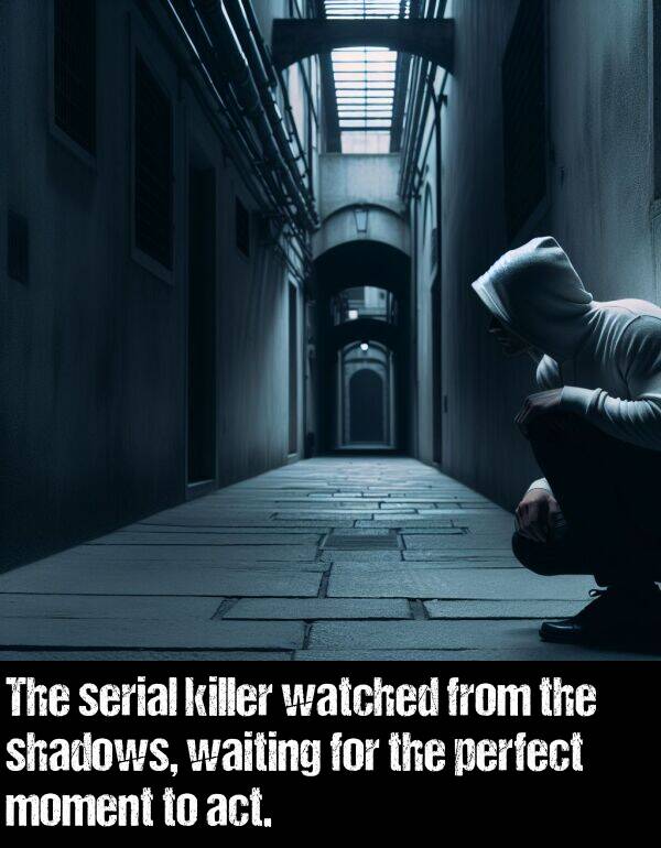 shadows: The serial killer watched from the shadows, waiting for the perfect moment to act.