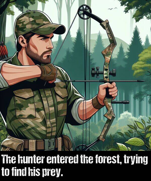 find: The hunter entered the forest, trying to find his prey.