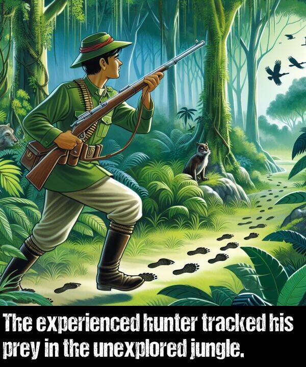 tracked: The experienced hunter tracked his prey in the unexplored jungle.