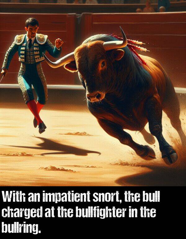 bullring: With an impatient snort, the bull charged at the bullfighter in the bullring.