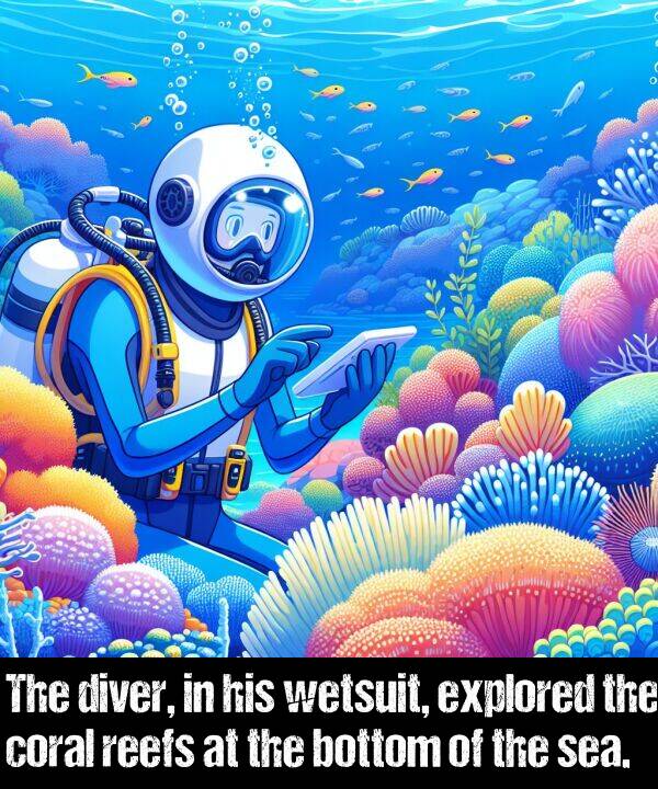 bottom: The diver, in his wetsuit, explored the coral reefs at the bottom of the sea.