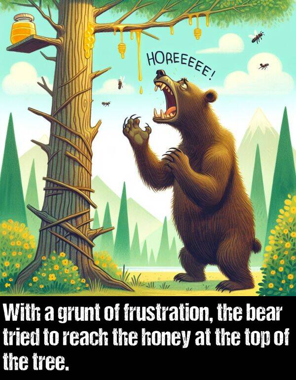 tree: With a grunt of frustration, the bear tried to reach the honey at the top of the tree.