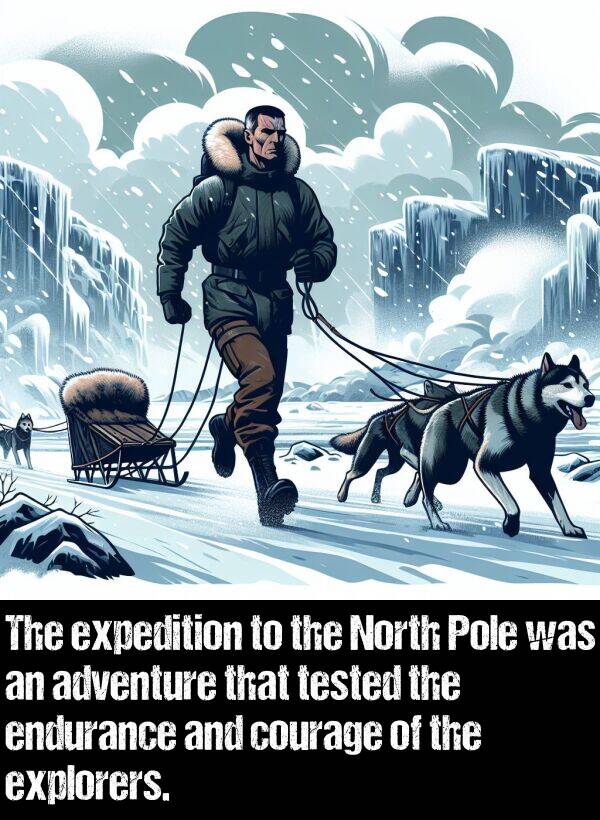 endurance: The expedition to the North Pole was an adventure that tested the endurance and courage of the explorers.