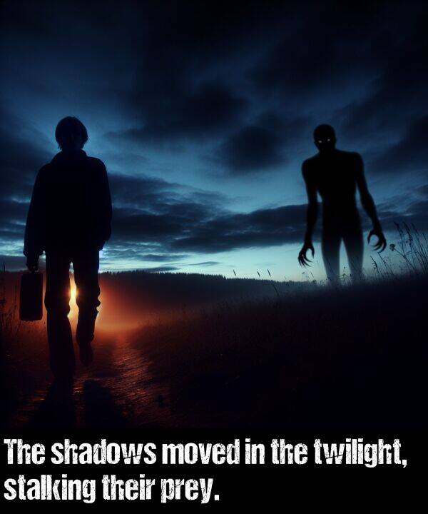 shadows: The shadows moved in the twilight, stalking their prey.