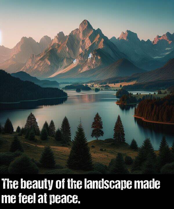 beauty: The beauty of the landscape made me feel at peace.