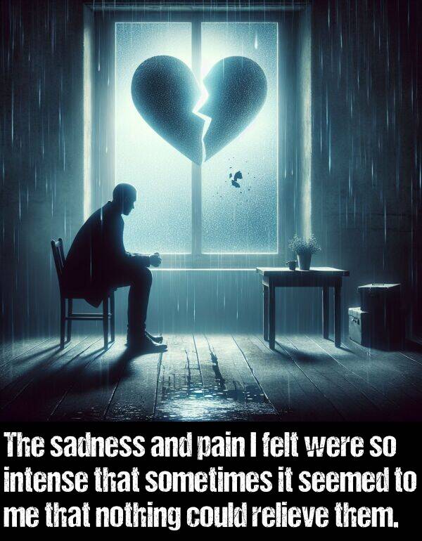 them: The sadness and pain I felt were so intense that sometimes it seemed to me that nothing could relieve them.