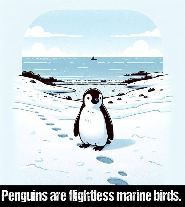 are: Penguins are flightless marine birds.