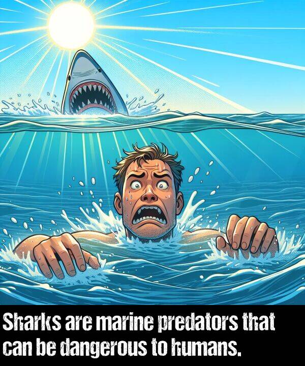 can: Sharks are marine predators that can be dangerous to humans.