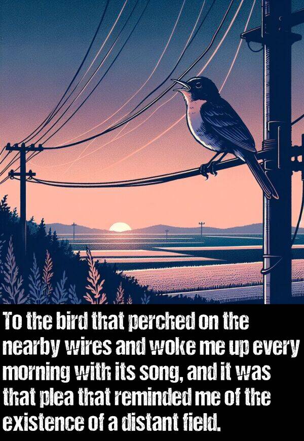 perched: To the bird that perched on the nearby wires and woke me up every morning with its song, and it was that plea that reminded me of the existence of a distant field.