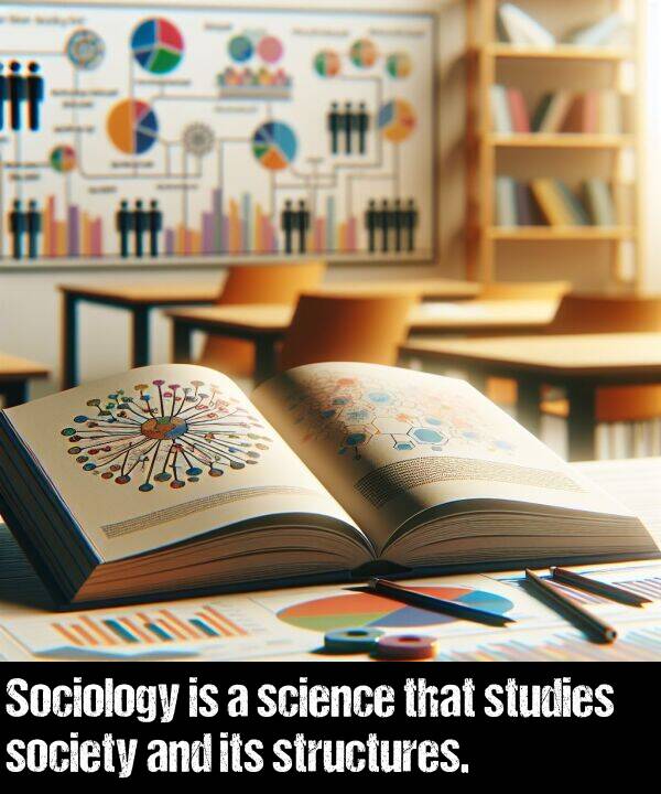 science: Sociology is a science that studies society and its structures.