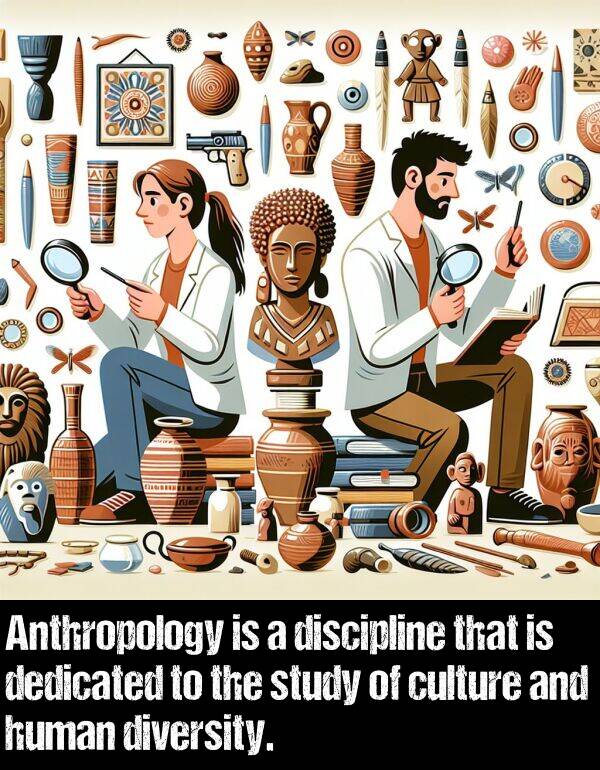 culture: Anthropology is a discipline that is dedicated to the study of culture and human diversity.