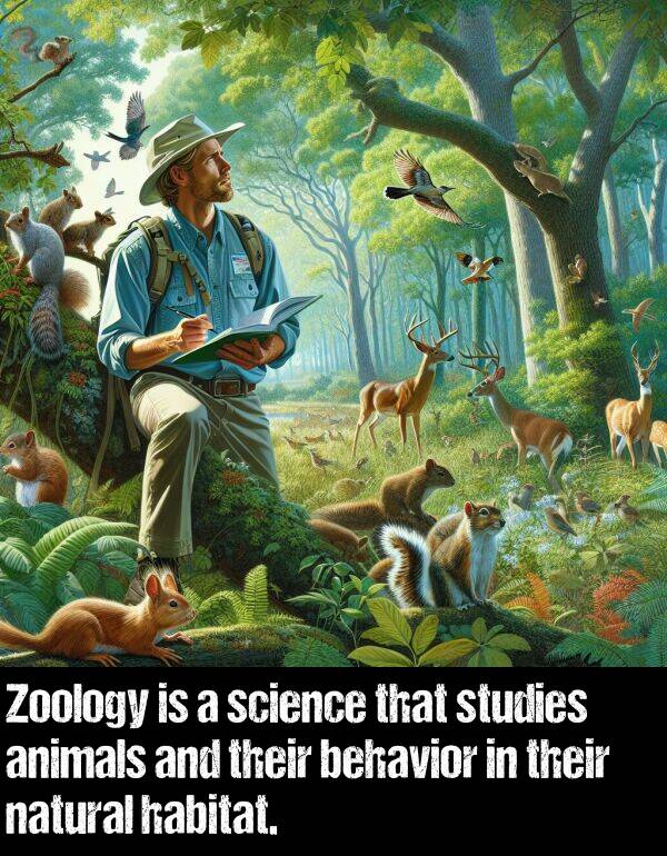 behavior: Zoology is a science that studies animals and their behavior in their natural habitat.