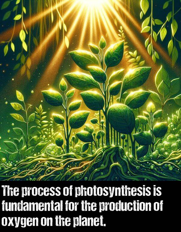 oxygen: The process of photosynthesis is fundamental for the production of oxygen on the planet.