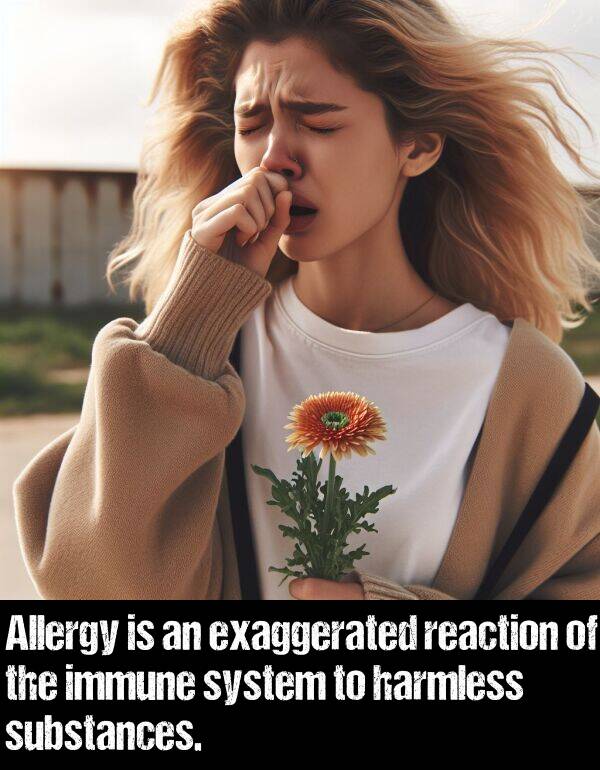 immune: Allergy is an exaggerated reaction of the immune system to harmless substances.