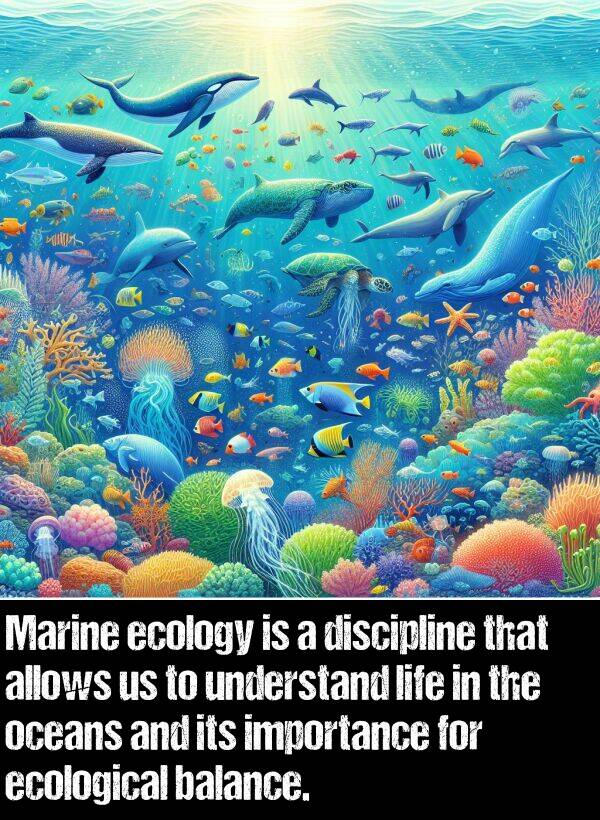 balance: Marine ecology is a discipline that allows us to understand life in the oceans and its importance for ecological balance.