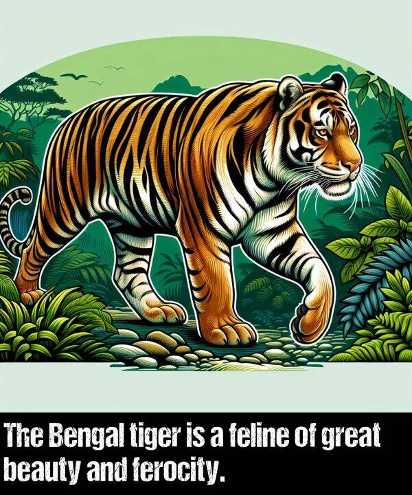 beauty: The Bengal tiger is a feline of great beauty and ferocity.