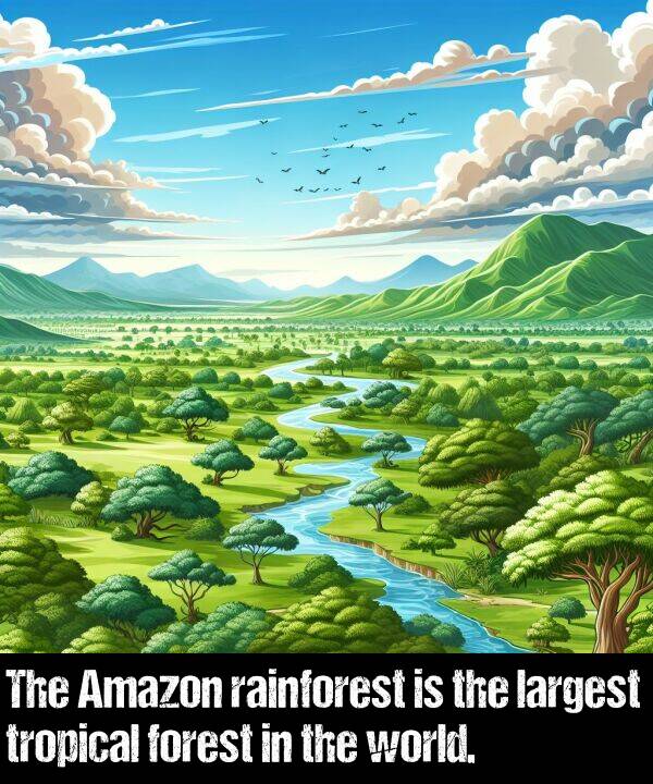 forest: The Amazon rainforest is the largest tropical forest in the world.