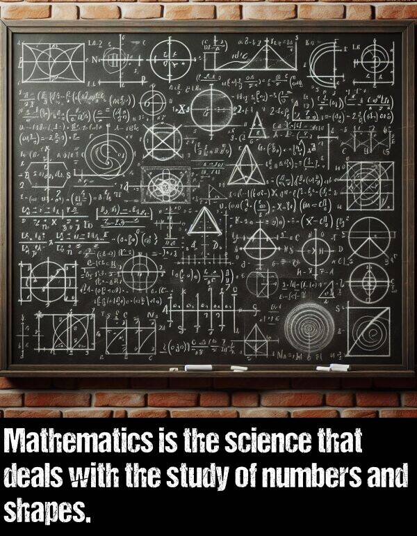 numbers: Mathematics is the science that deals with the study of numbers and shapes.