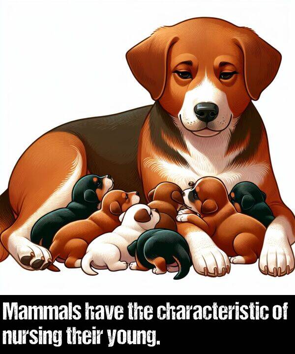 characteristic: Mammals have the characteristic of nursing their young.