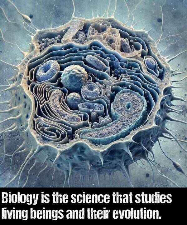 their: Biology is the science that studies living beings and their evolution.