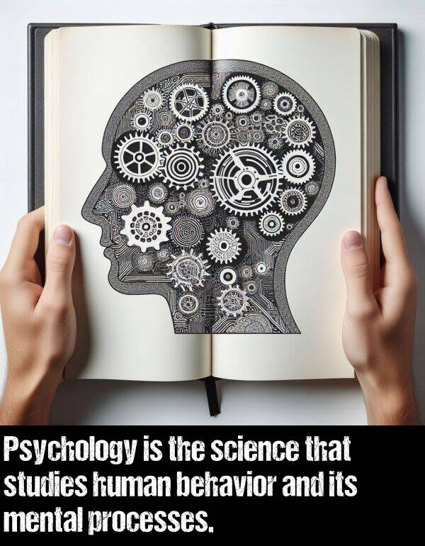 mental: Psychology is the science that studies human behavior and its mental processes.