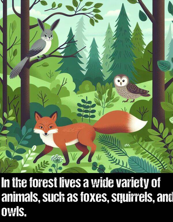 such: In the forest lives a wide variety of animals, such as foxes, squirrels, and owls.