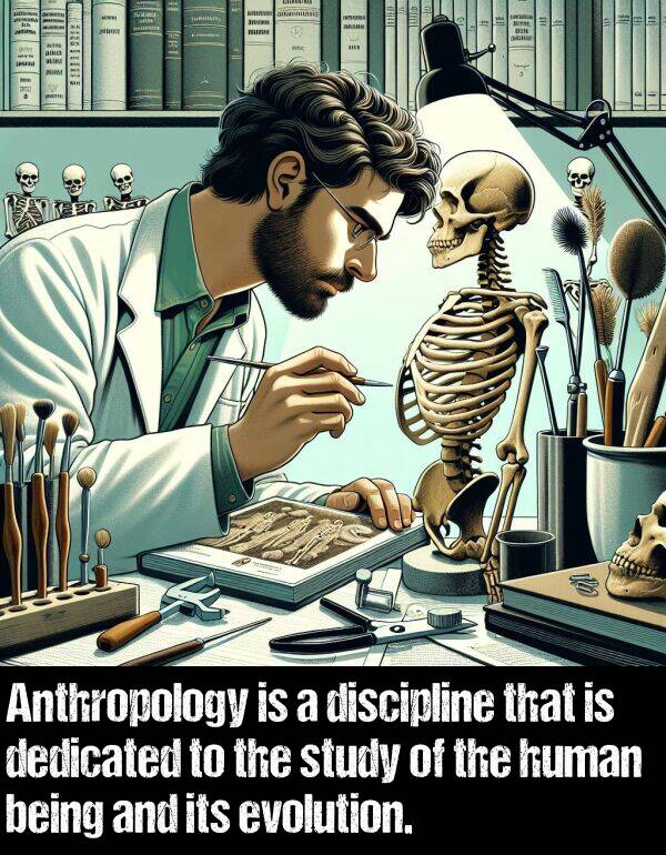 being: Anthropology is a discipline that is dedicated to the study of the human being and its evolution.