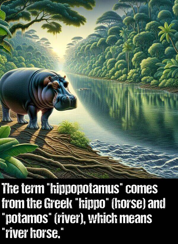 comes: The term "hippopotamus" comes from the Greek "hippo" (horse) and "potamos" (river), which means "river horse."