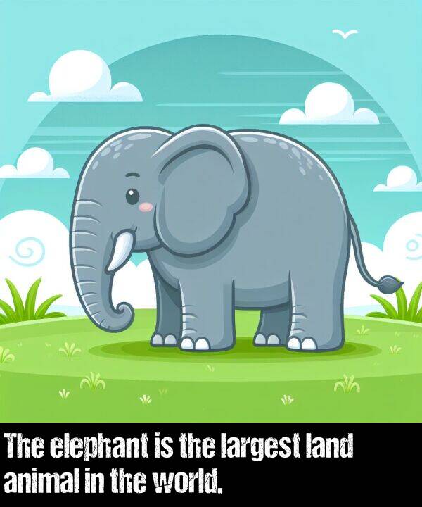 largest: The elephant is the largest land animal in the world.