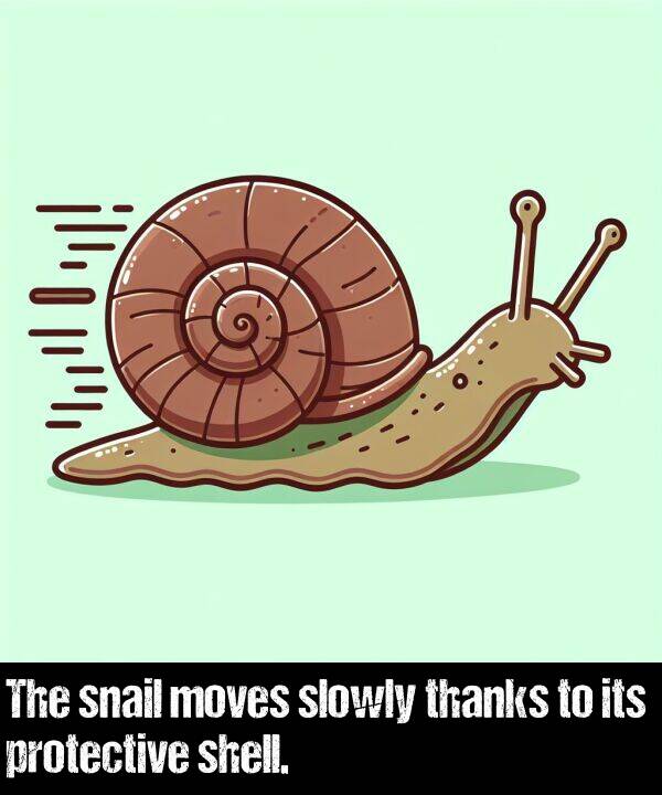 its: The snail moves slowly thanks to its protective shell.