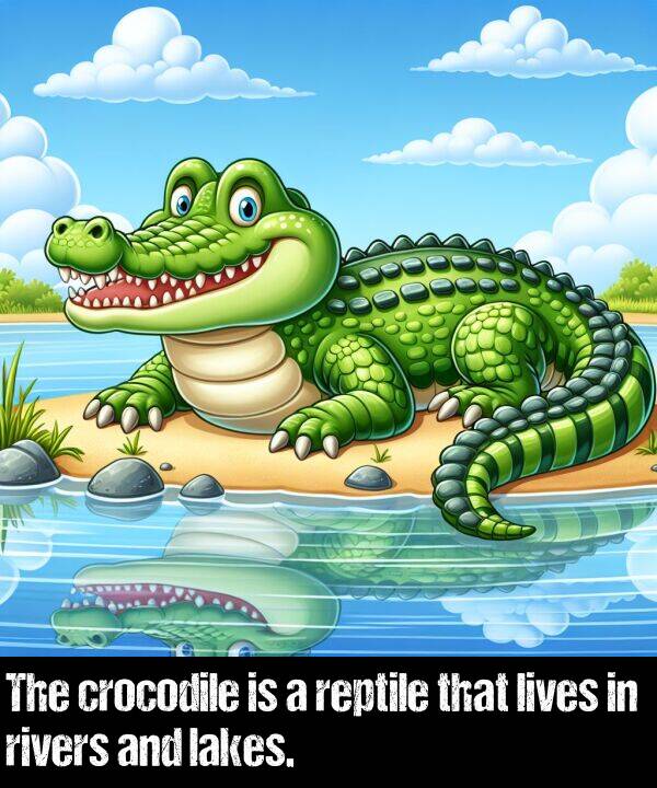 lives: The crocodile is a reptile that lives in rivers and lakes.