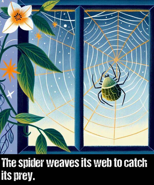 its: The spider weaves its web to catch its prey.