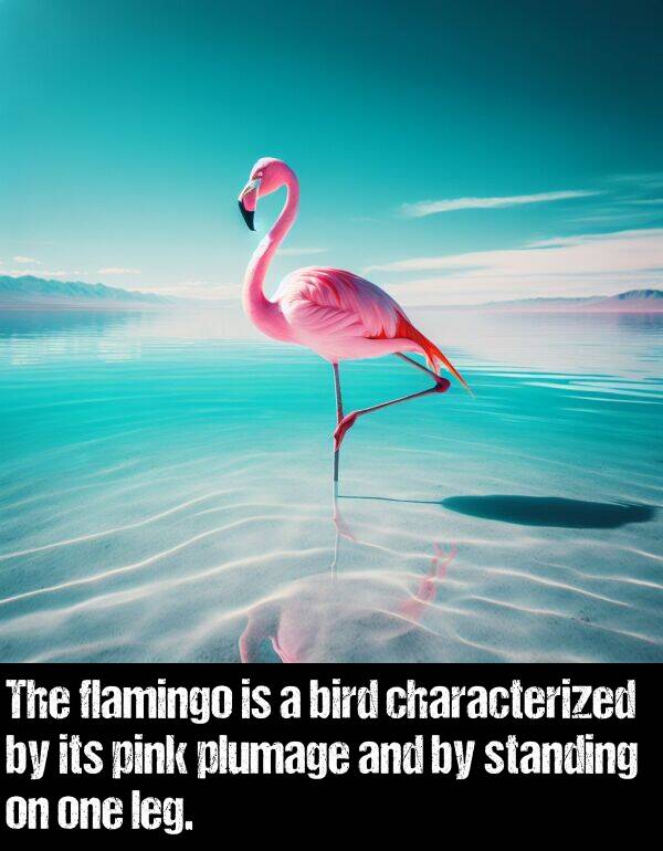 plumage: The flamingo is a bird characterized by its pink plumage and by standing on one leg.