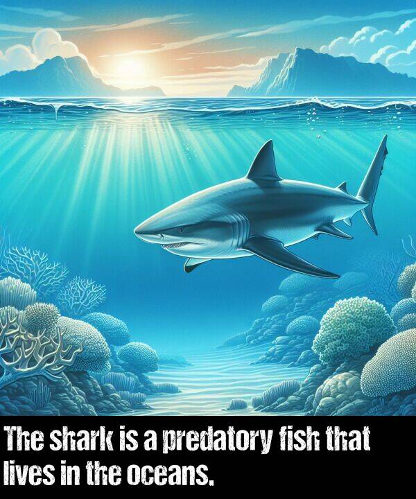 oceans: The shark is a predatory fish that lives in the oceans.