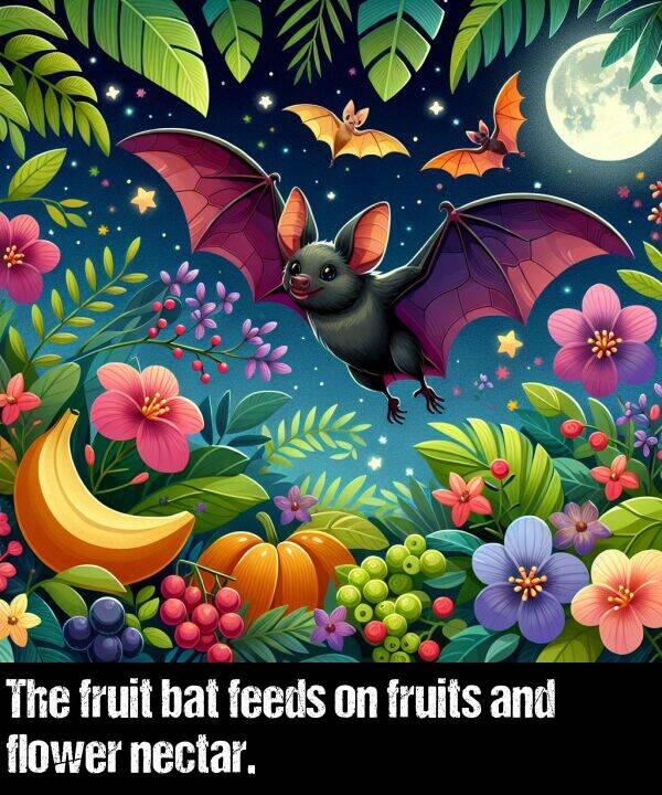 fruits: The fruit bat feeds on fruits and flower nectar.