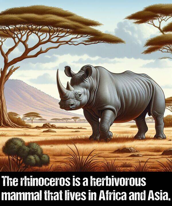 herbivorous: The rhinoceros is a herbivorous mammal that lives in Africa and Asia.