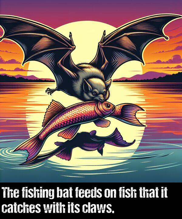 fishing: The fishing bat feeds on fish that it catches with its claws.