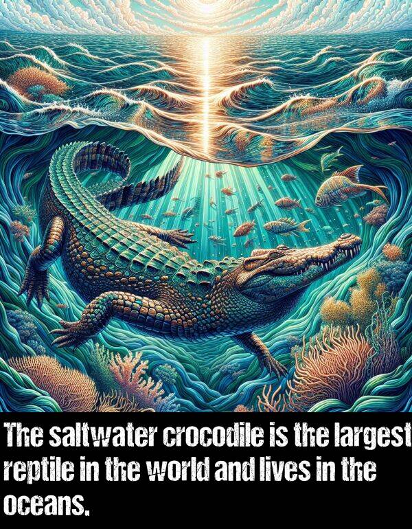 largest: The saltwater crocodile is the largest reptile in the world and lives in the oceans.