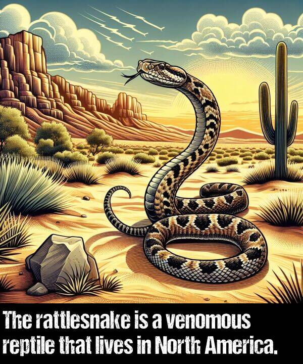 venomous: The rattlesnake is a venomous reptile that lives in North America.