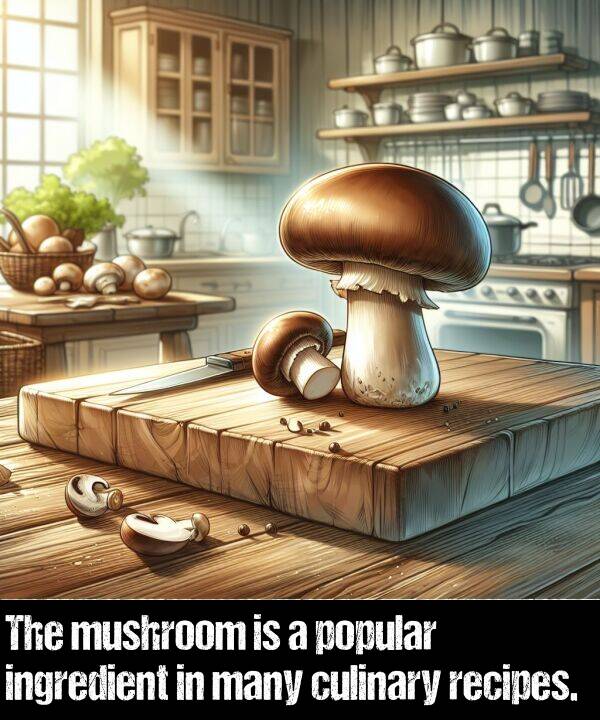 ingredient: The mushroom is a popular ingredient in many culinary recipes.