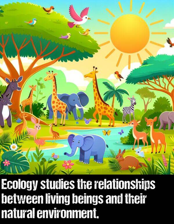 relationships: Ecology studies the relationships between living beings and their natural environment.