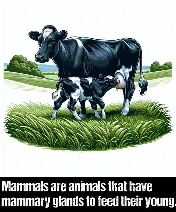 their: Mammals are animals that have mammary glands to feed their young.